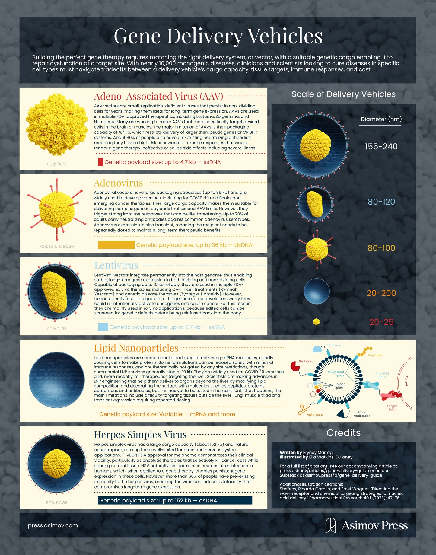 Visual Guide to Gene Delivery (Unframed)